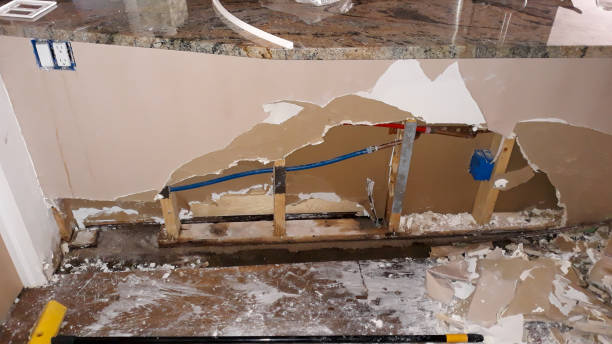 Best Basement water damage restoration  in Woodworth, LA