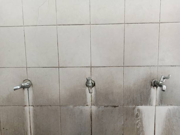 Best Flood damage cleanup  in Woodworth, LA
