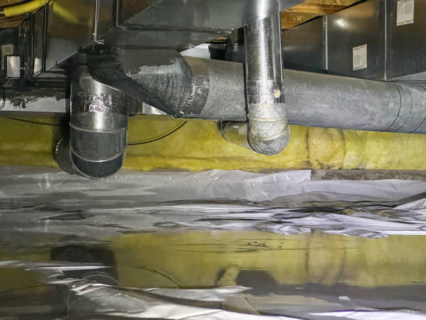 Best Flooded house restoration  in Woodworth, LA