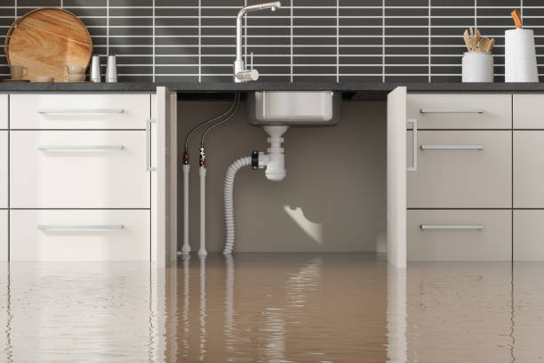 Best Water damage restoration near me  in Woodworth, LA