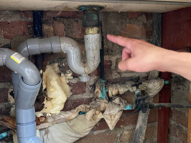 Best Water damage contractors near me  in Woodworth, LA