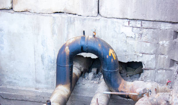 Best Professional water damage repair  in Woodworth, LA