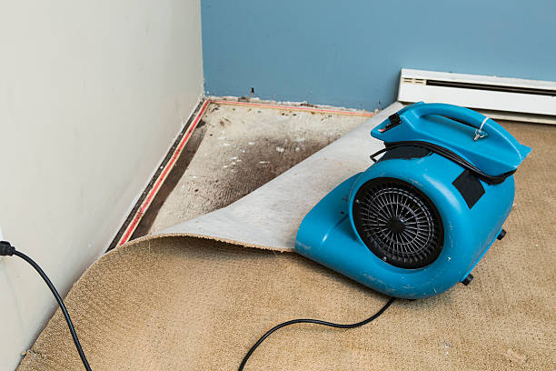 Best Local water damage restoration  in Woodworth, LA